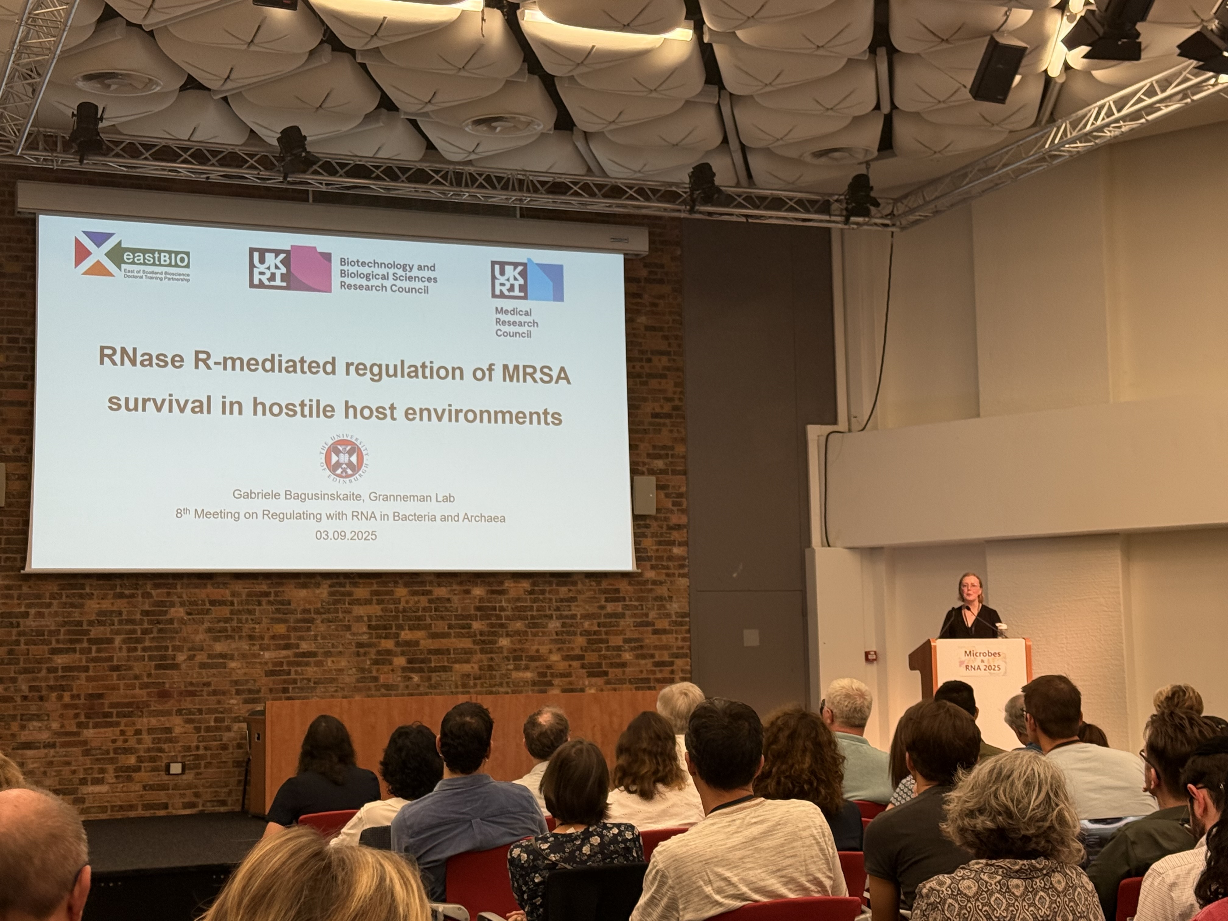 Gabriele at conference