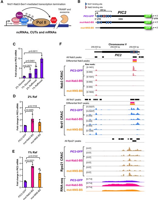 Figure 1 from Esteban-Serna et al. 2025 showing DBPeaks usage